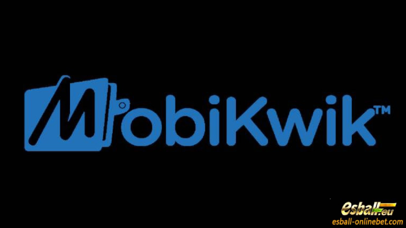 6 Security MobiKwik Wallet Payment Tips, MobiKwik Pocket UPI