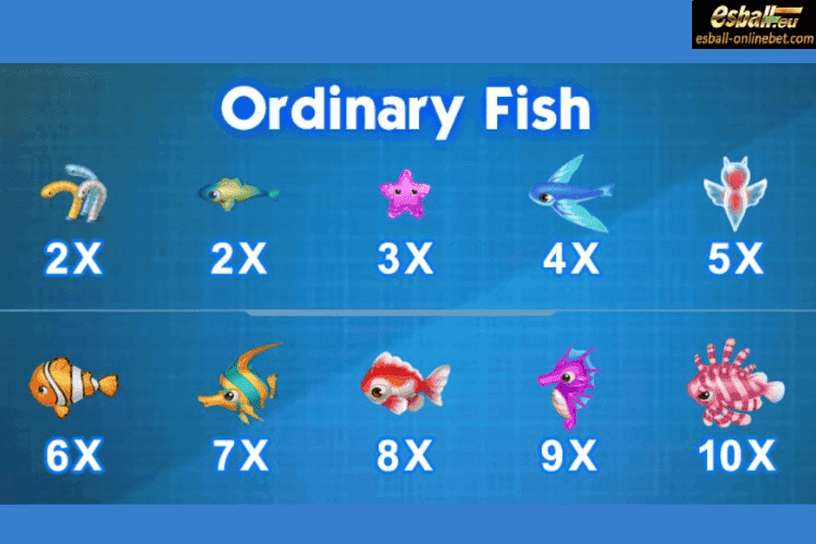 Ordinary Fish-1 Ordinary Fish-1