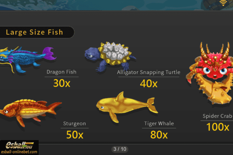 Large Size Fish Large Size Fish
