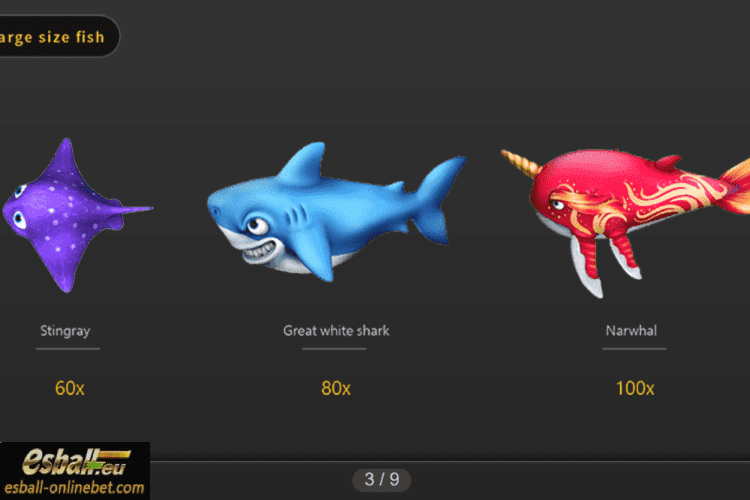 Large Size Fish Large Size Fish