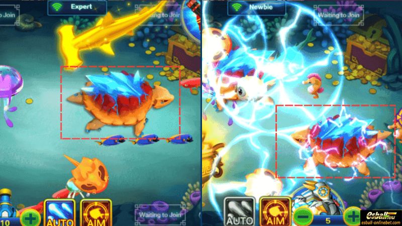 Thunder Turtle: 50-300X Thunder Turtle: 50-300X