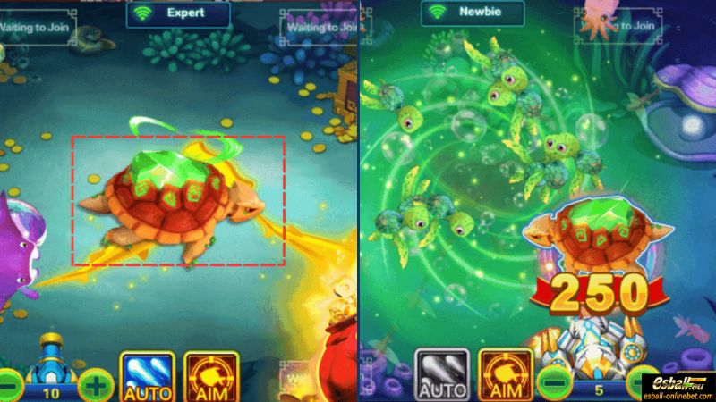 Tempest Turtle: 50-200X Tempest Turtle: 50-200X