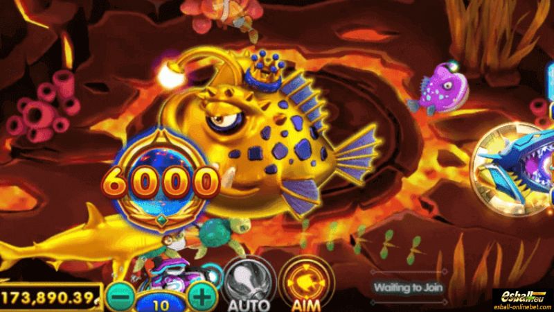 Shade 5 Dragons Fishing Shade 5 Dragons Fishing