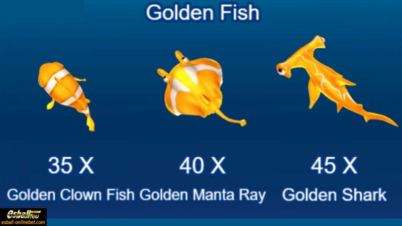 Golden Fish Golden Fish