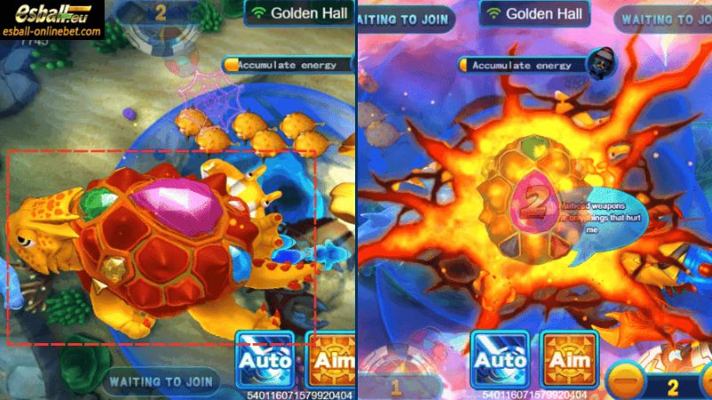 Fortune Turtle: 100-250X Fortune Turtle: 100-250X
