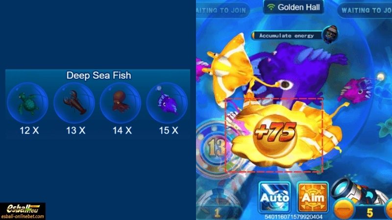 Deep Sea Fish Deep Sea Fish