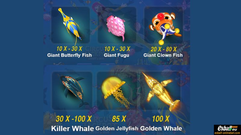 Circus Jackpot Giant Medium Fish Circus Jackpot Giant Medium Fish