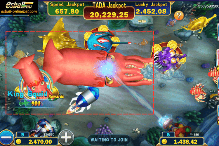King Squid: 60、120、180 X King Squid: 60、120、180 X
