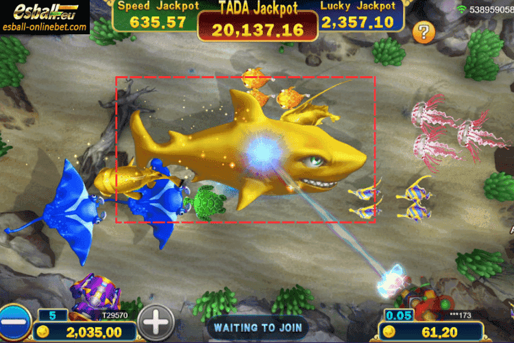 Golden Shark: 80、160、240 X Golden Shark: 80、160、240 X