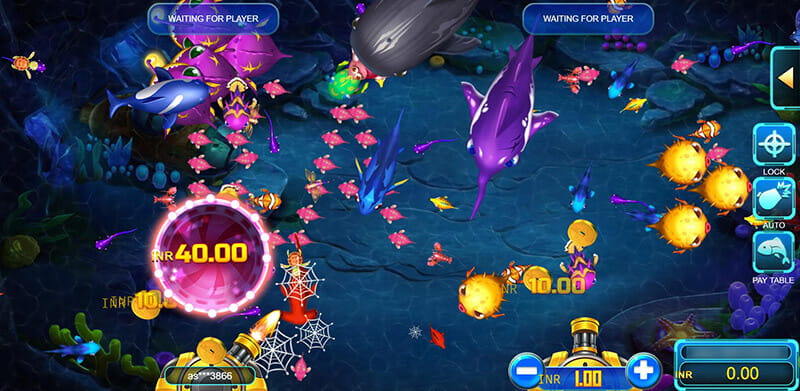 KA Fish Hunter KA Fish Hunter