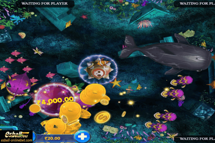 KA Fish Hunter Big Win KA Fish Hunter Big Win