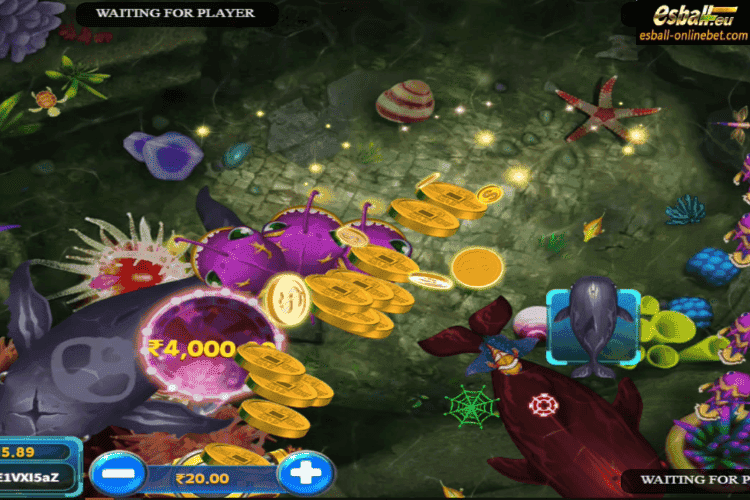 KA Fish Hunter Big Win KA Fish Hunter Big Win