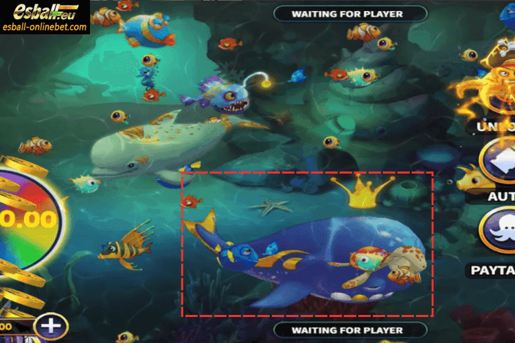 Whale: 68-138X Whale: 68-138X