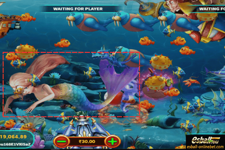 Mermaid: 50-300X Mermaid: 50-300X