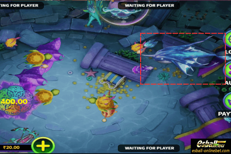 Blue Swordfish: 58-88X Blue Swordfish: 58-88X