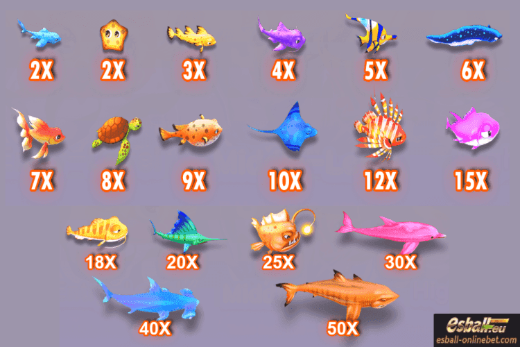 Normal Fish Normal Fish