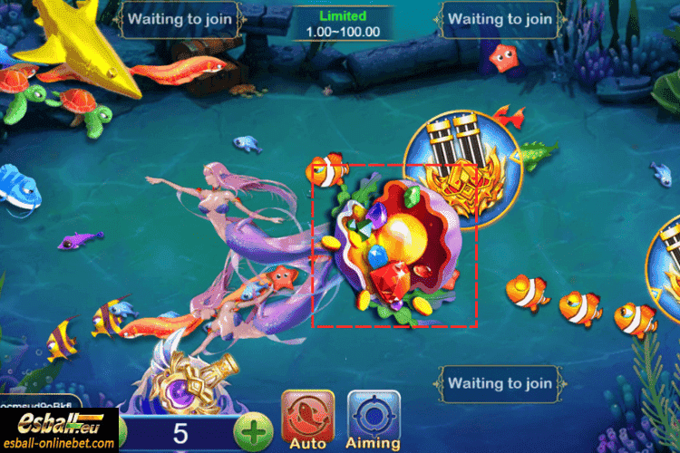 Treasure Shell: 50-150X Treasure Shell: 50-150X