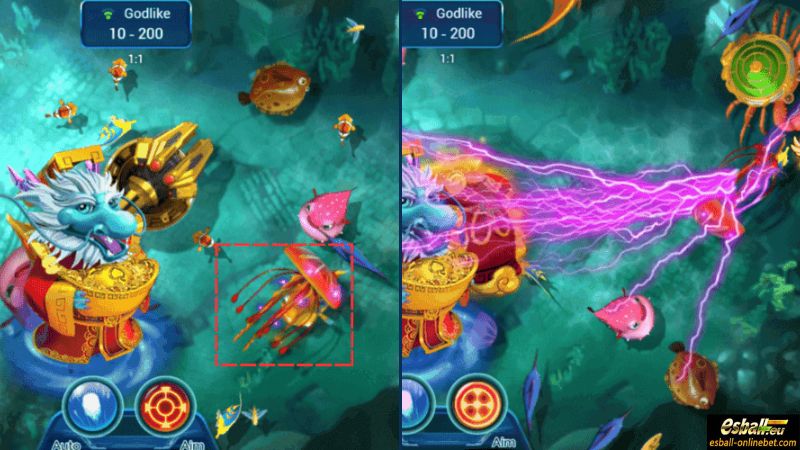 Flash Jelly Fish Flash Jelly Fish