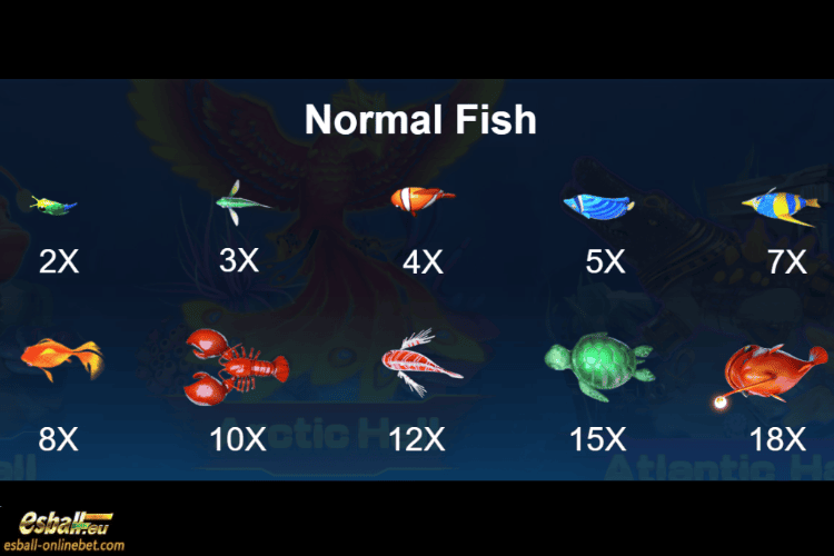 Normal Fish Normal Fish