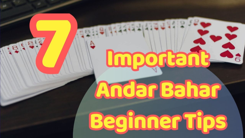 7 Important Andar Bahar Beginner Tips That Newbies Must Know