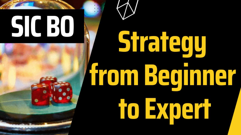 How to Win in Sic Bo? Sic Bo Strategy from Beginner to Expert