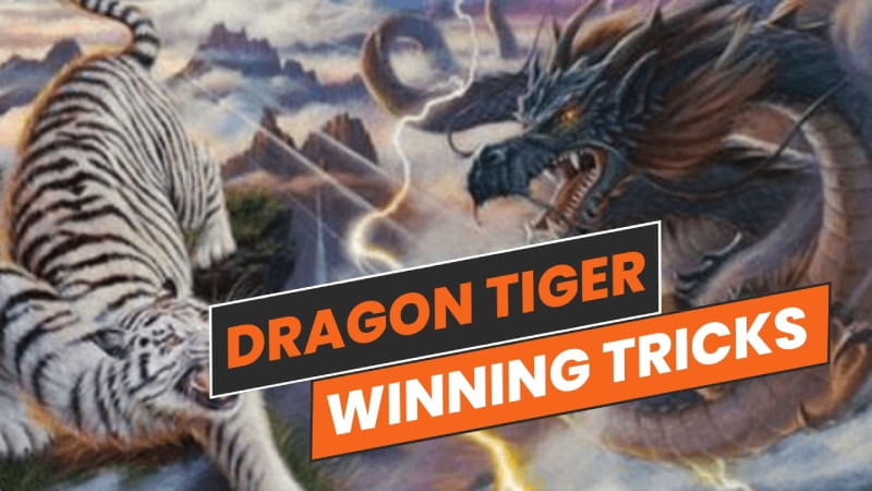 5 Hot Live Dragon Tiger game Winning Tricks You Should Know