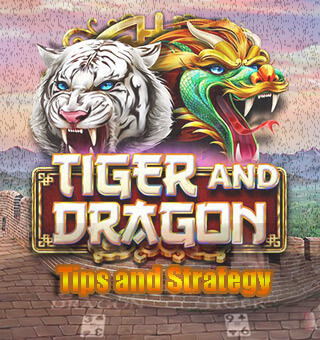 Lists of 22 Complete Live Dragon Tiger Tips and Strategy When You Play Online Casino
