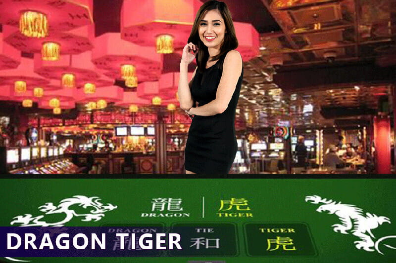 Live Dragon Tiger Strategies Live Dragon Tiger Strategies
