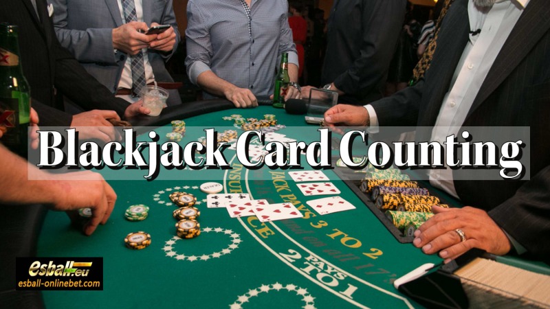 5 Blackjack Card Counting Strategy to Raise Your Win Rate