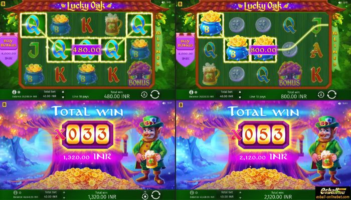 Lucky Oak Big Win Lucky Oak Big Win