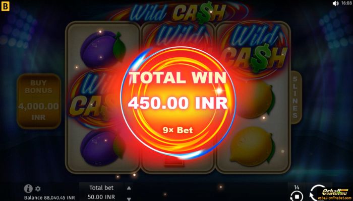 Wild Cash Slot Big Win Wild Cash Slot Big Win
