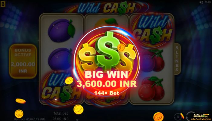 BGaming Wild Cash Big Win BGaming Wild Cash Big Win