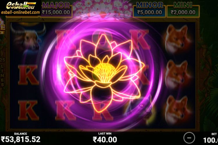 Tiger Jungle Slot Bonus Game Tiger Jungle Slot Bonus Game