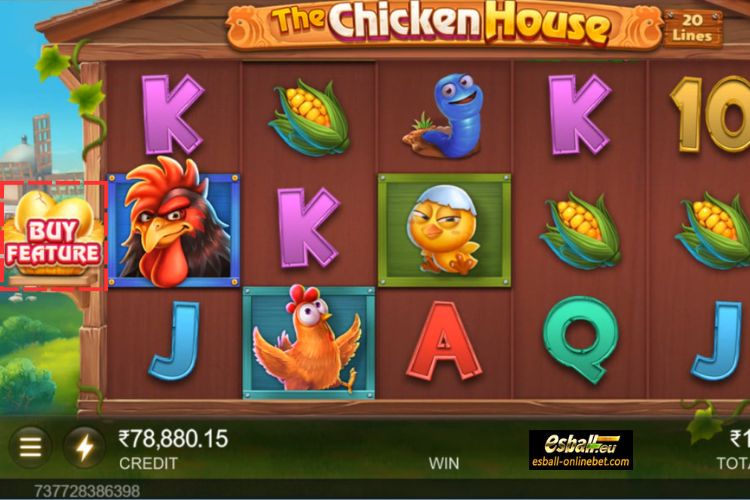 The Chicken House Buy Feature The Chicken House Buy Feature