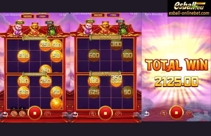 Evoplay Cat’s Blessing Big Win Evoplay Cat’s Blessing Big Win