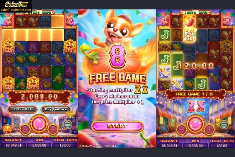 FaChai Chilihuahua Big Win FaChai Chilihuahua Big Win