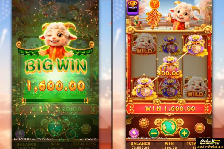 Fortune Sheep Big Win Fortune Sheep Big Win