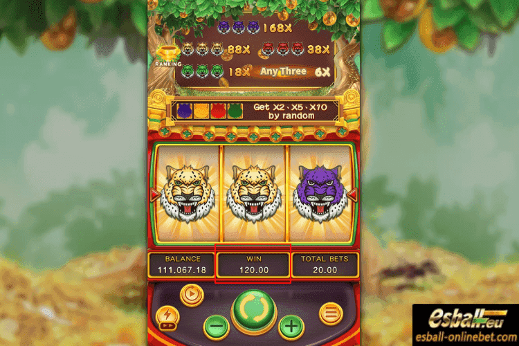 Luxury Golden Panther Slot Big Win Luxury Golden Panther Slot Big Win