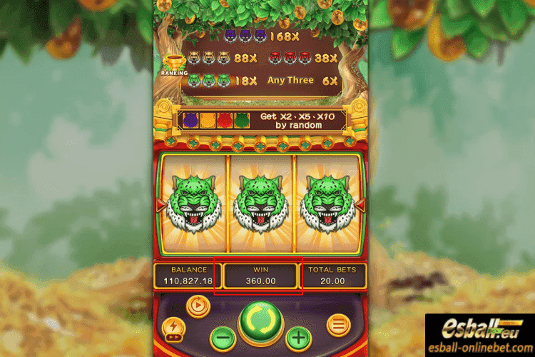 FC Luxury Golden Panther Slot Big Win FC Luxury Golden Panther Slot Big Win
