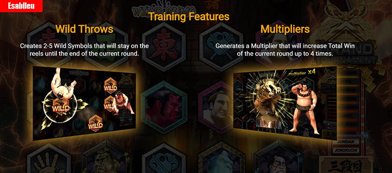Wild Sumo Slot Machine Training Features