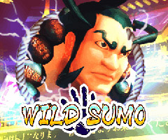 Wild Sumo Slot Machine