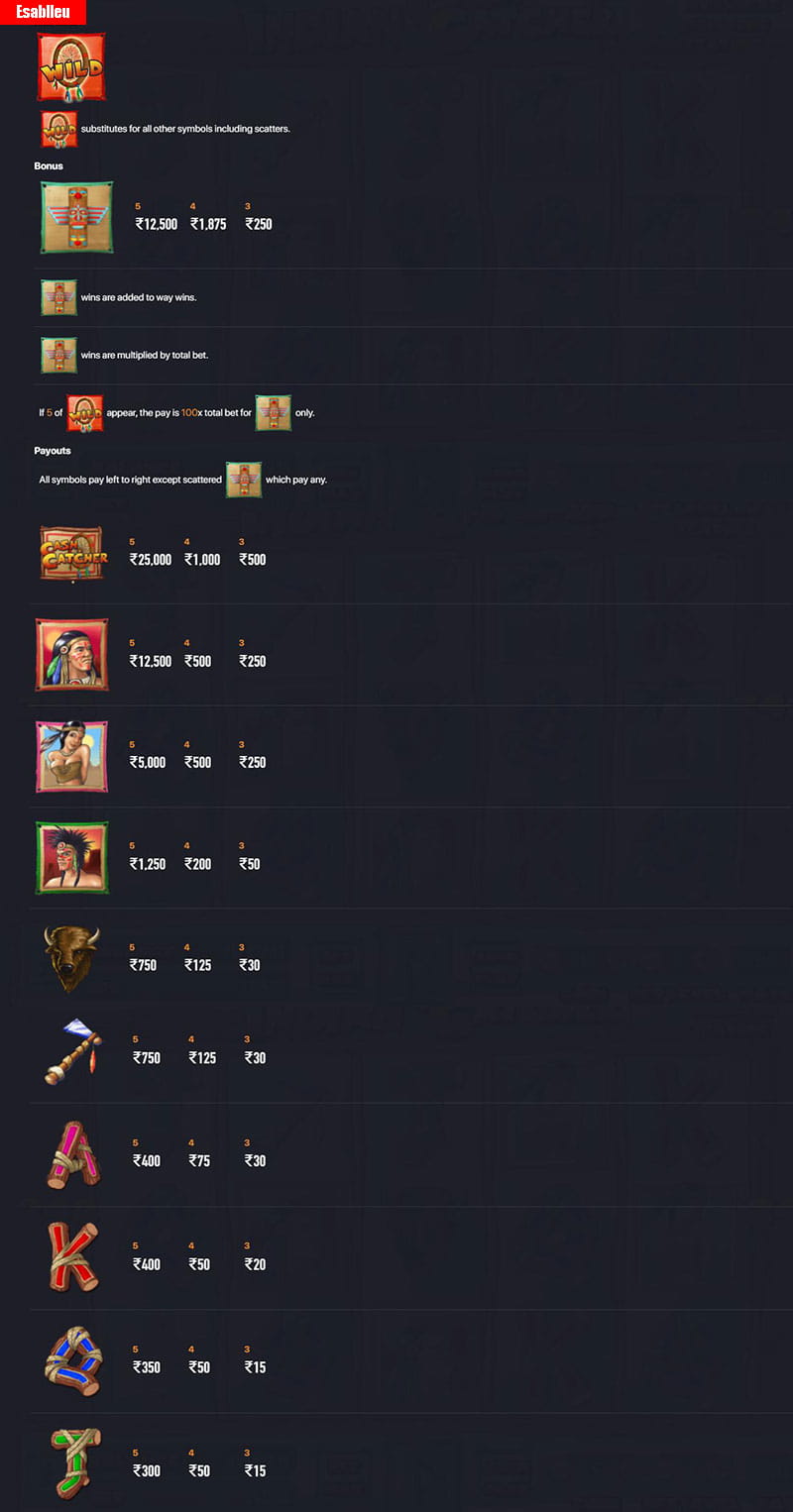 How To Play Indian Cash Catcher Slot Machine
