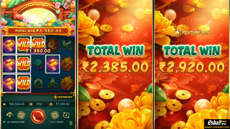 Blossom Of Wealth Big Win Blossom Of Wealth Big Win