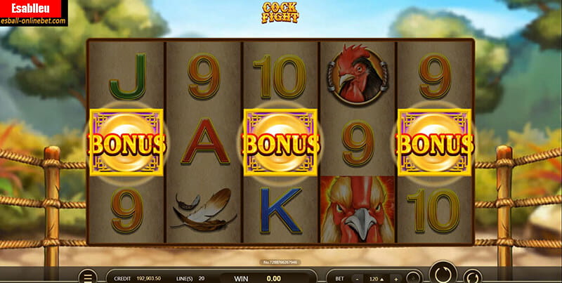 Cock Fight Slot Machine Big Win