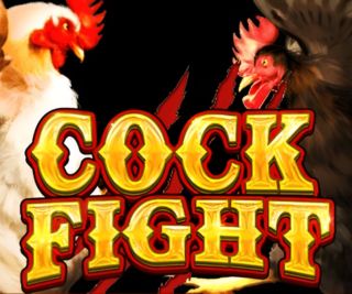 JDB Cock Fight Game Online