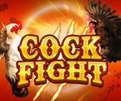 Cock Fight Slot Machine