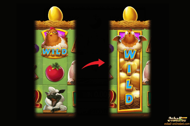 Coocoo Farm Slot Demo by JDB Apk Download