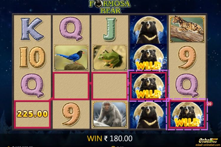 Formosa Bear Wild Formosa Bear Wild