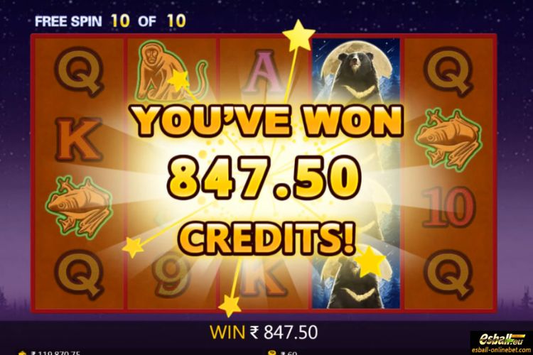 Formosa Bear Big Win Formosa Bear Big Win