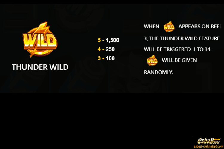 Thunder Wild Thunder Wild
